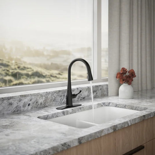 Kohler Simplice Pull-down Kitchen Faucet Black
