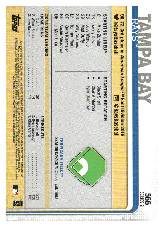 2019 Topps #566 Tropicana Field Gold #/2019
