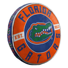 将图片加载到图库查看器,NCAA Florida Gators 15" Cloud Pillow