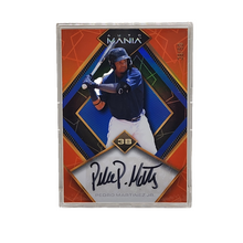 将图片加载到图库查看器,2023 Wild Card Auto Mania 38/50 Pedro Martinez Jr. #AM-D60 Detroit Tigers