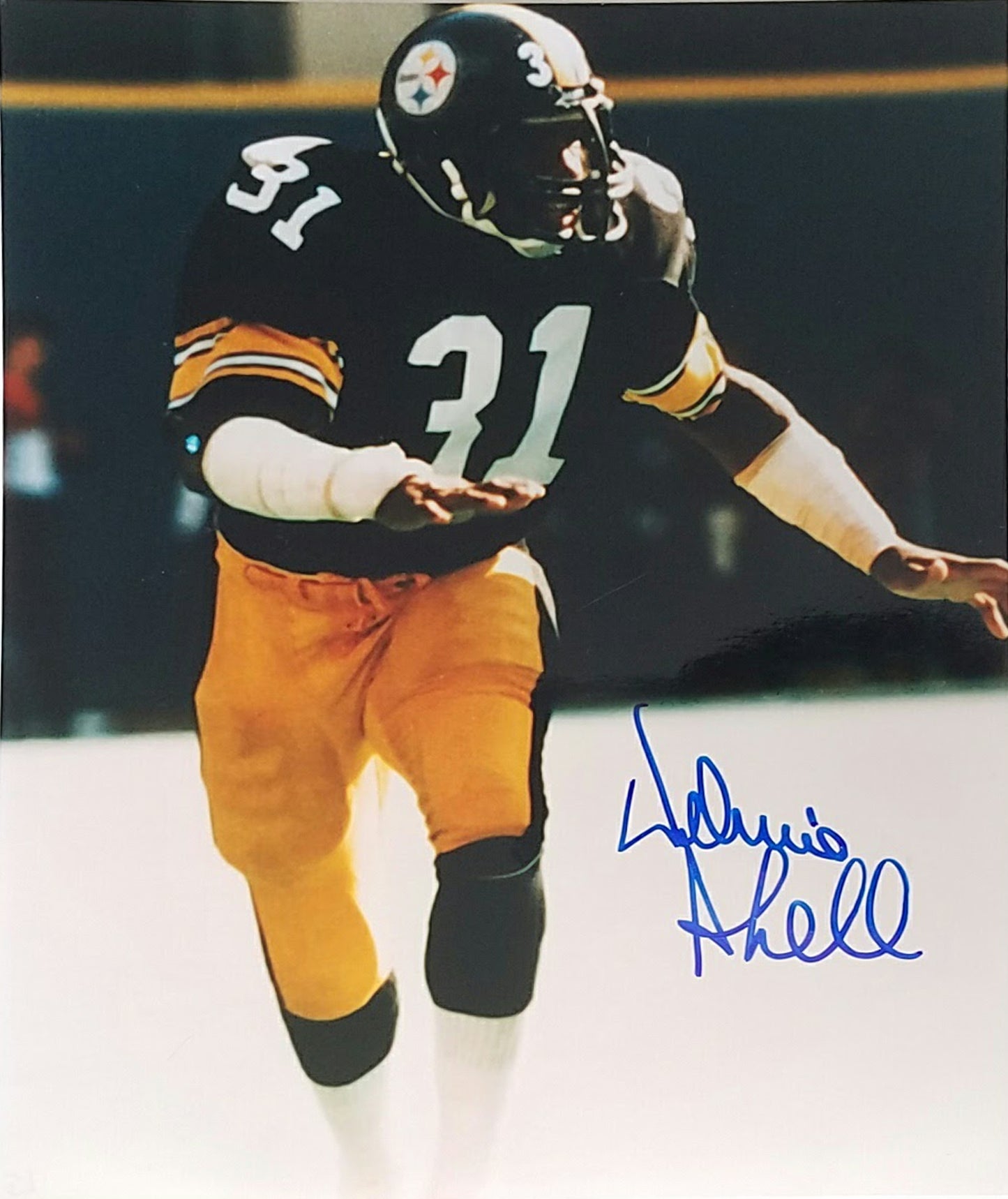 Donnie Shell Signed Autographed 8x10