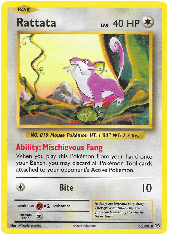 XY Evolutions 066 Rattata