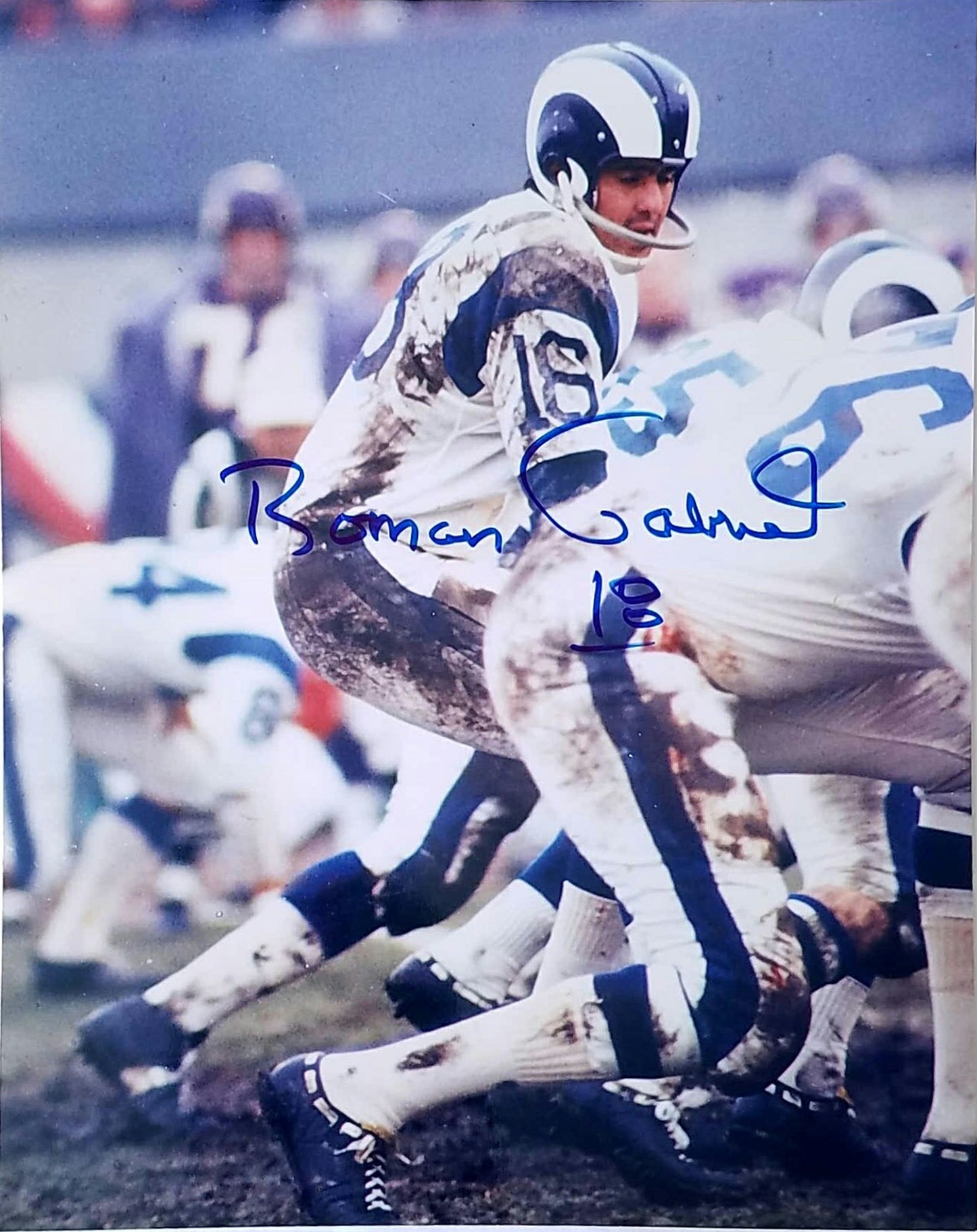Roman Gabriel Signed Autographed 8x10