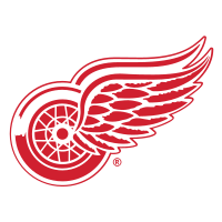 Detroit Red Wings NHL