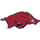 Arkansas Razorbacks NCAA