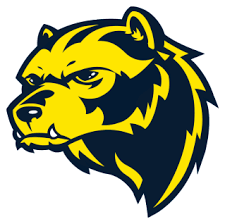 Michigan Wolverines NCAA