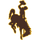 Wyoming Cowboys NCAA
