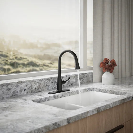 Kohler Simplice Pull-down Kitchen Faucet Black