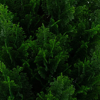 Nearly Natural Faux 4' UV Resistant Cedar Tree Indoor and Outdoor, 2-pack
