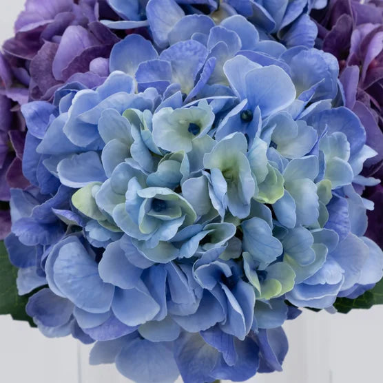 Faux 12" Hydrangea Arrangement Blue