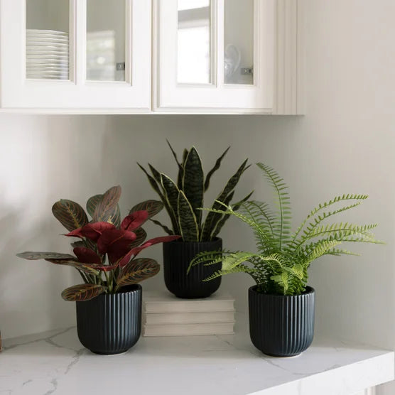 Faux Decorative Plant Trio