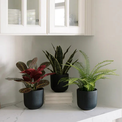 Faux Decorative Plant Trio
