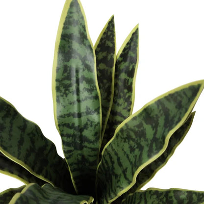 Faux Decorative Plant Trio