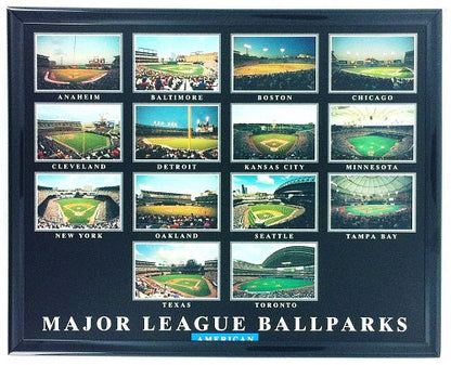 NFL/MLB/NCAA  8"x10" Field Stadium Poster Print Framed