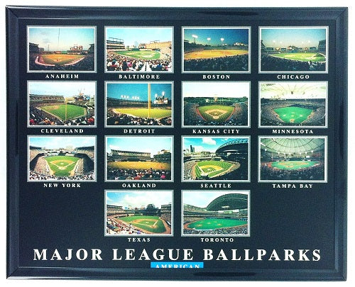 NFL/MLB/NCAA  8"x10" Field Stadium Poster Print Framed