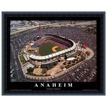 NFL/MLB/NCAA  8"x10" Field Stadium Poster Print Framed
