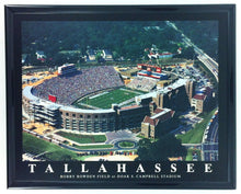 Load image into Gallery viewer, NFL/MLB/NCAA  8"x10" Field Stadium Poster Print Framed
