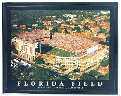 NFL/MLB/NCAA  8"x10" Field Stadium Poster Print Framed