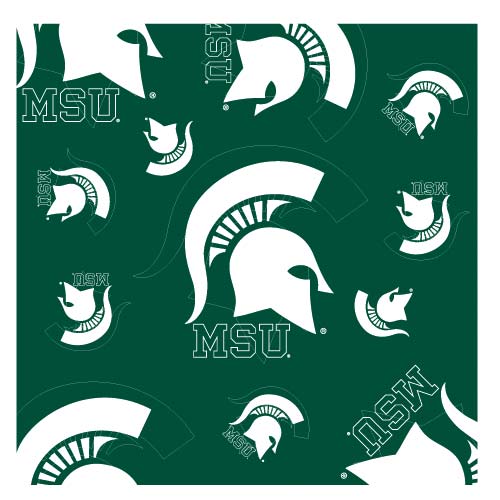 NCAA Team Silky Scarf - Assorted Teams Choose Your
