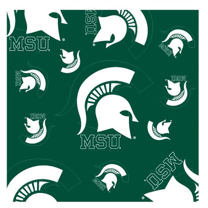 NCAA Team Silky Scarf - Assorted Teams Choose Your