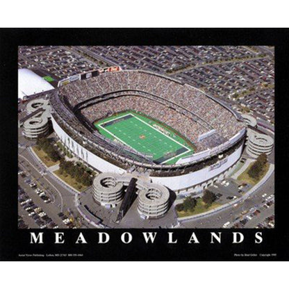 NFL/MLB/NCAA  8"x10" Field Stadium Poster Print Framed