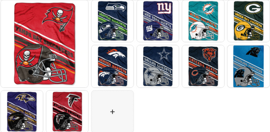 NFL Team Raschel Throw 60"x80" Assorted Teams Choose Your