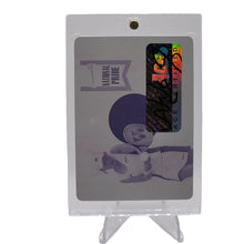 تحميل الصورة إلى عارض المعرض، لوحة 2013 Leaf National Pride Magenta مقاس 1/1 تحمل توقيع Akiko Morigami
