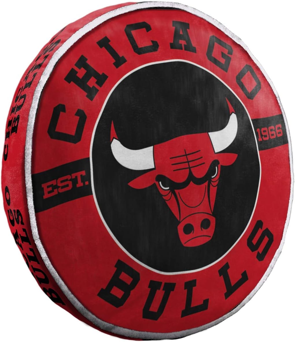 Chicago Bulls 15" Cloud Pillow - walk-of-famesports