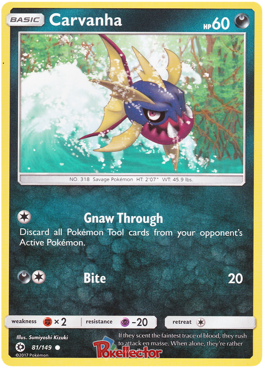 Sun and Moon Sun & Moon 081  Carvanha