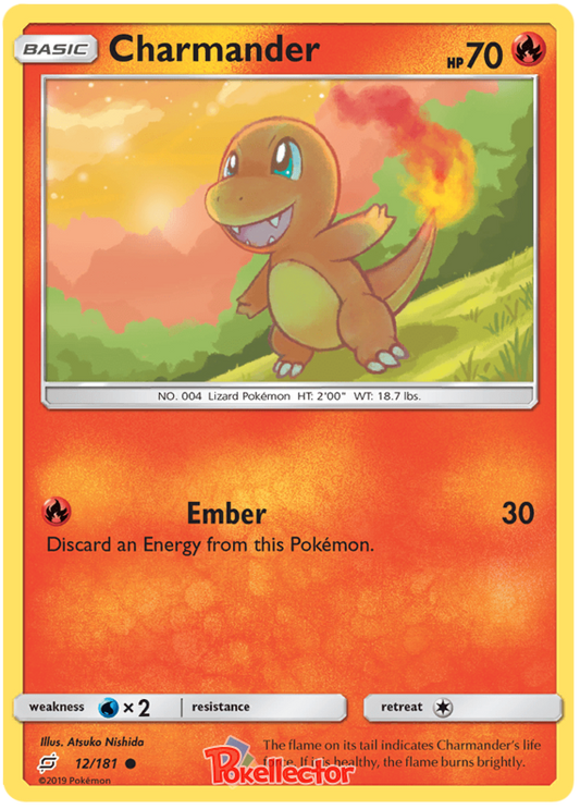 Sun and Moon Team Up 012  Charmander