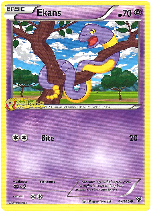 XY XY 047  Ekans