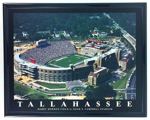Florida State Seminoles "Bobby Bowden Field" at Doak Campbell Stadium 8"x10" Poster Print - Framed