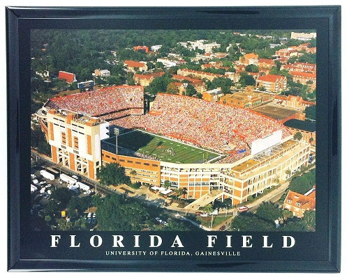 Florida Field "The Swamp" 8"x10" Poster Print - Framed