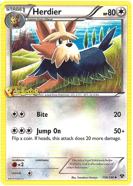 XY XY 109  Herdier