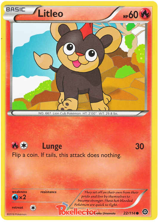 XY Steam Siege 022  Litleo