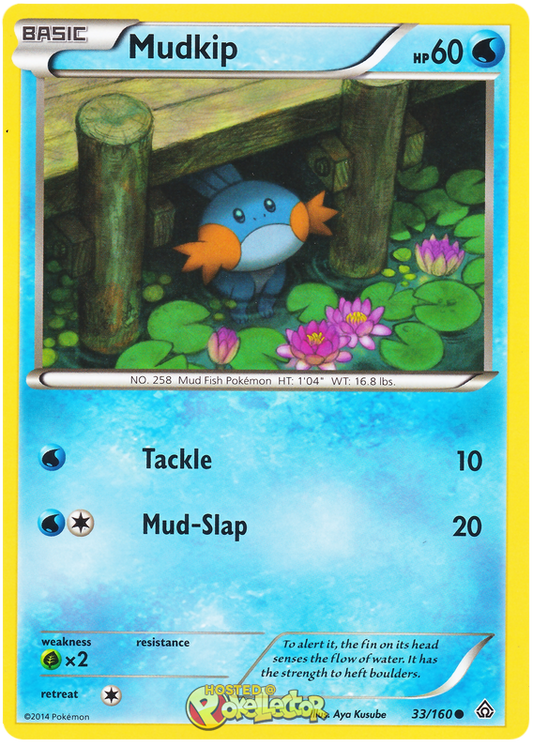 XY Primal Clash 033  Mudkip