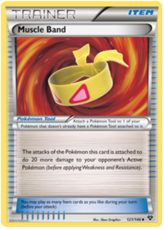 XY XY 121  Muscle Band