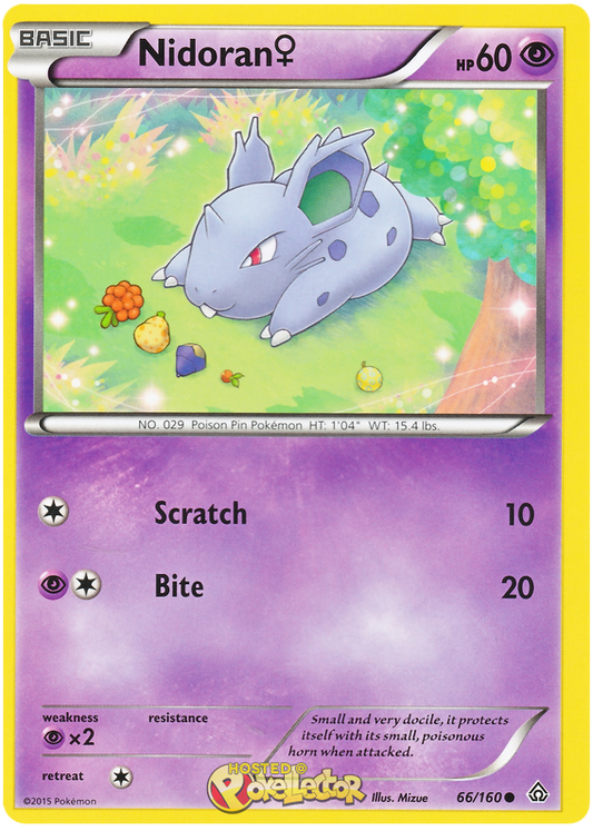 XY Primal Clash 066  Nidoran (f)