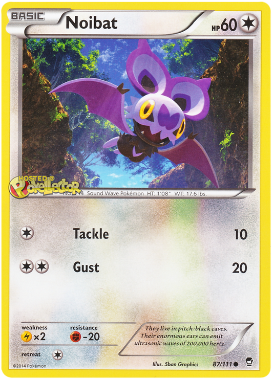 XY Furious Fists 087  Noibat