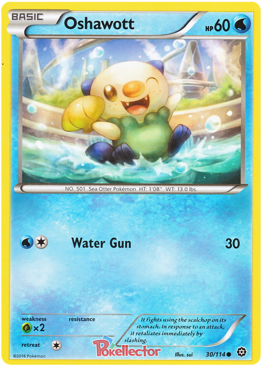 XY Steam Siege 030  Oshawott
