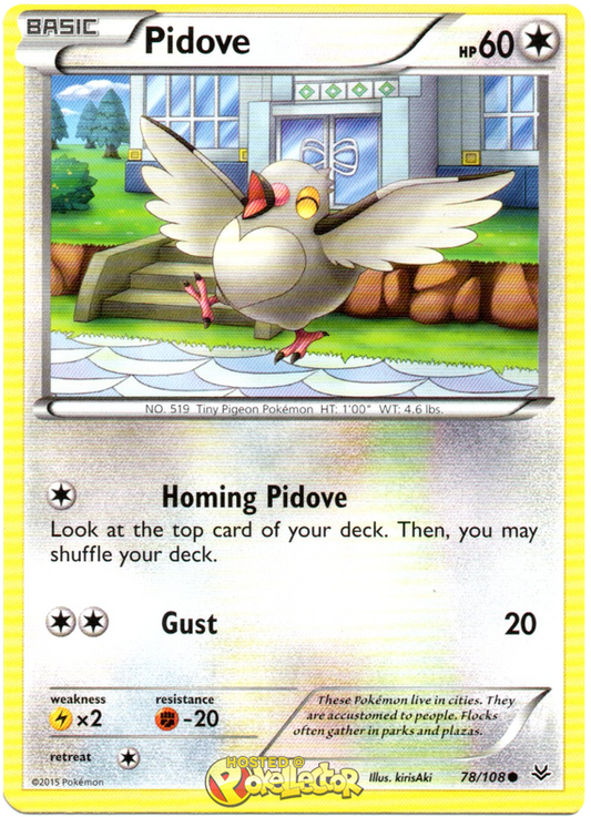 XY Roaring Skies 078  Pidove