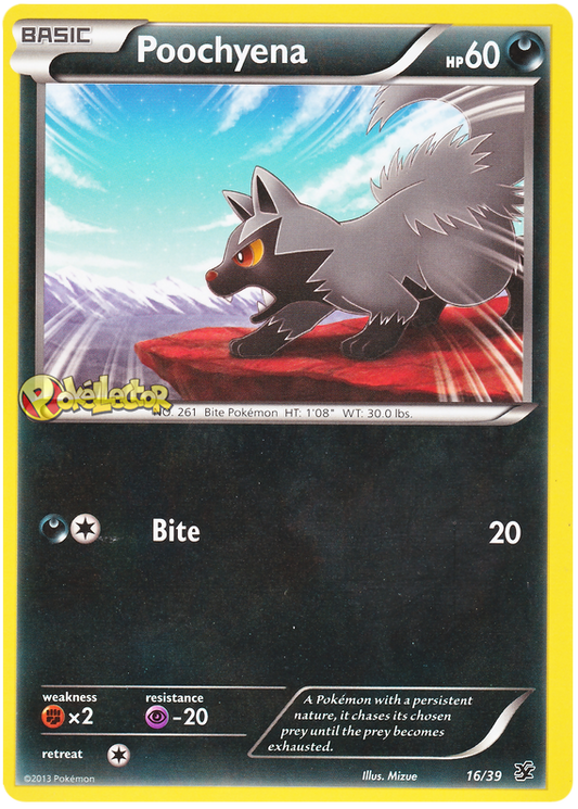 XY Kalos Starter Set 16  Poochyena