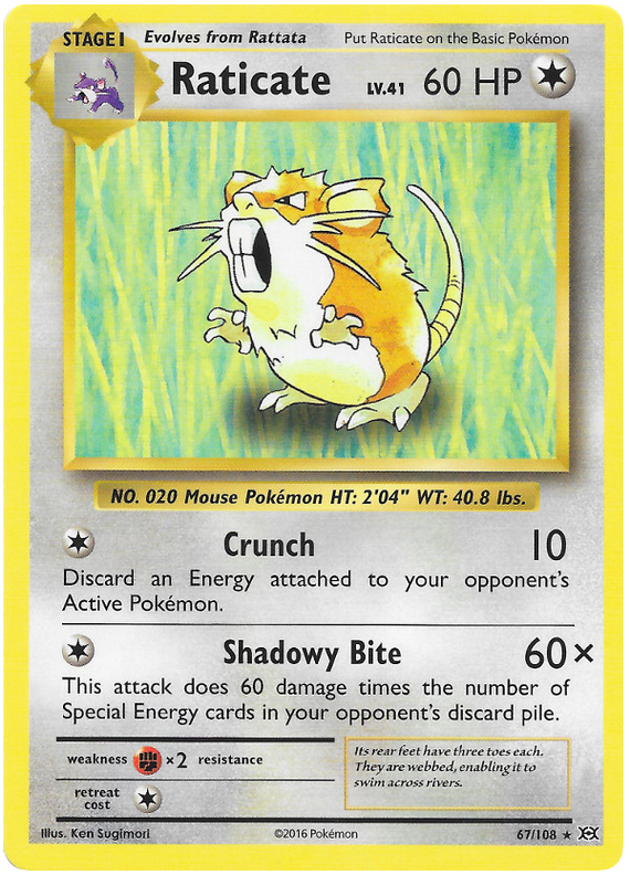 XY Evolutions 067  Raticate