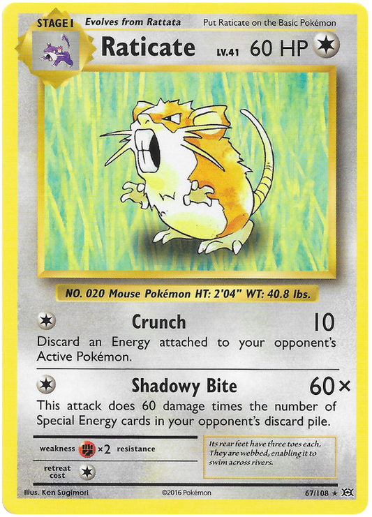 XY Evolutions 067  Raticate