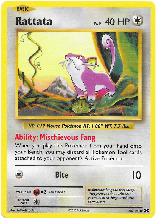 XY Evolutions 066  Rattata