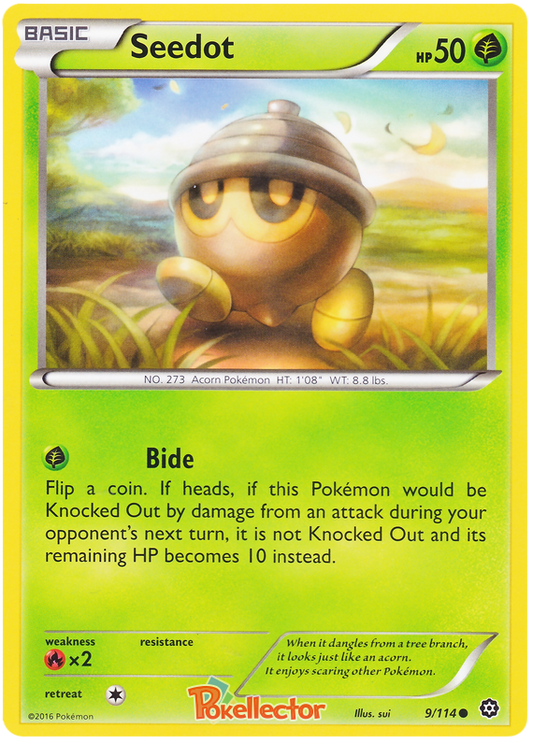XY Steam Siege 009  Seedot
