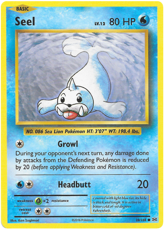 XY Evolutions 028  Seel