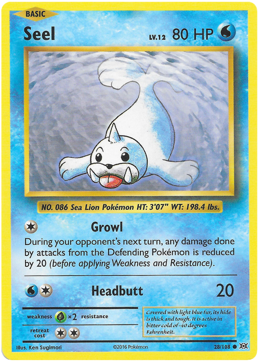XY Evolutions 028  Seel