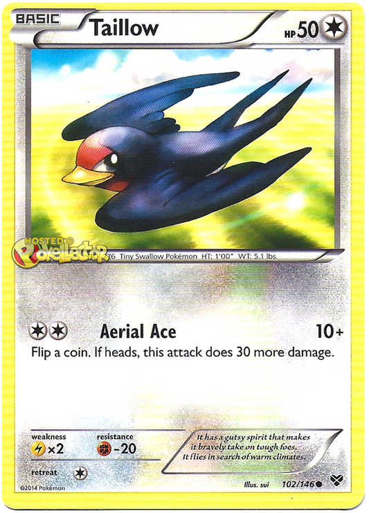 XY XY 102  Taillow