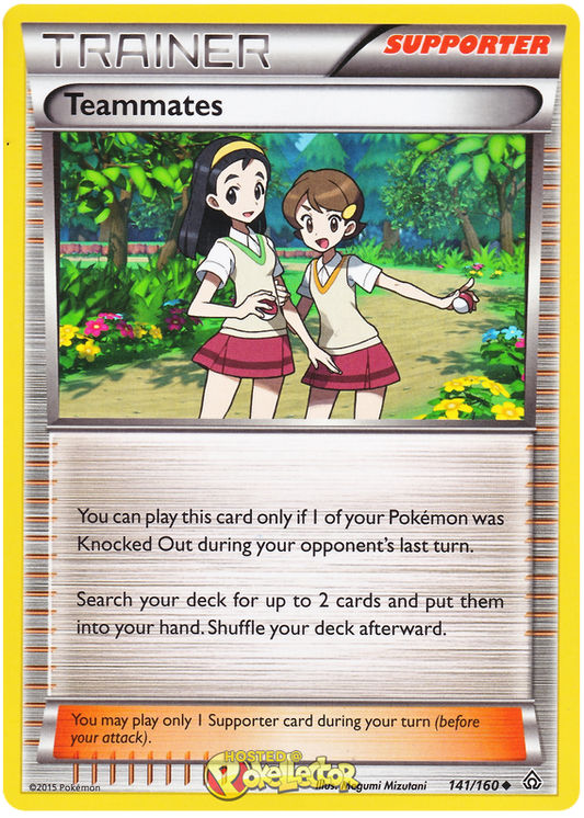XY Primal Clash 141  Teammates